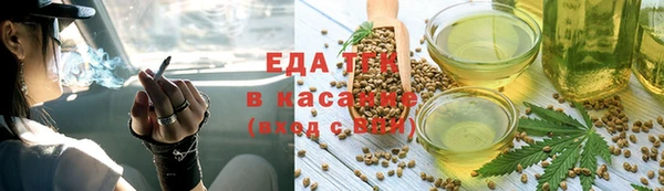 индика Пестово