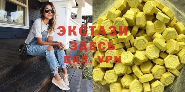 индика Пестово