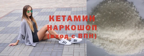 индика Пестово
