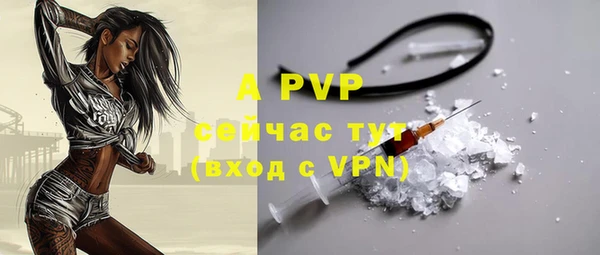 Альфа ПВП Пересвет