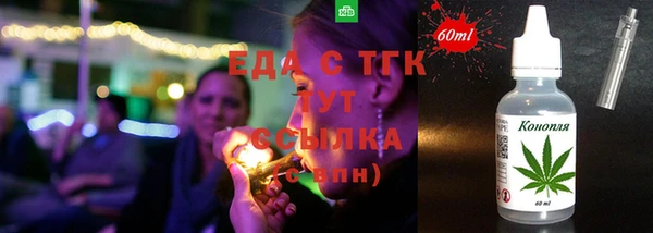 индика Пестово