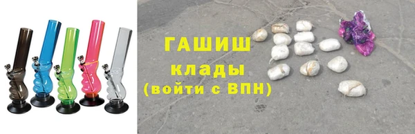 индика Пестово