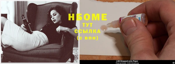 индика Пестово