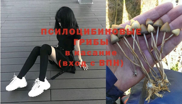 индика Пестово