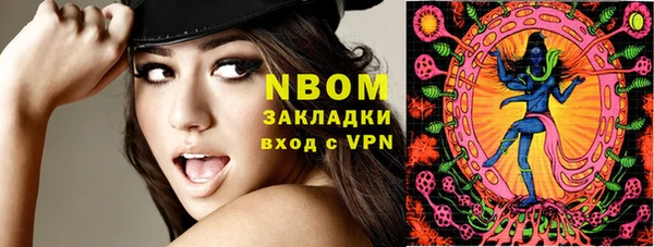 индика Пестово