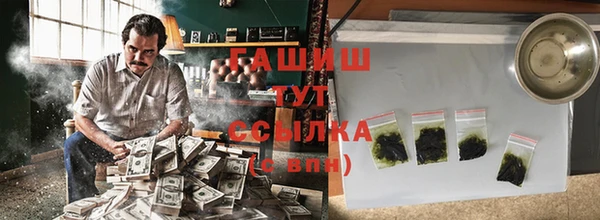 индика Пестово