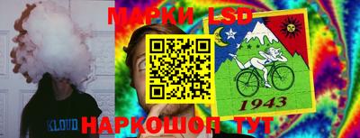 меф Гатчина
