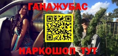 шишки Гай