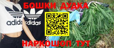 шишки Гай
