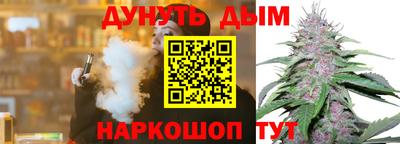 меф Гатчина