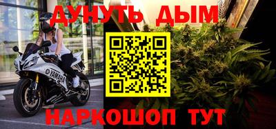 шишки Гай