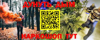 СК Кингисепп