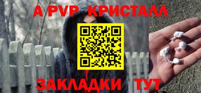 шишки Гай