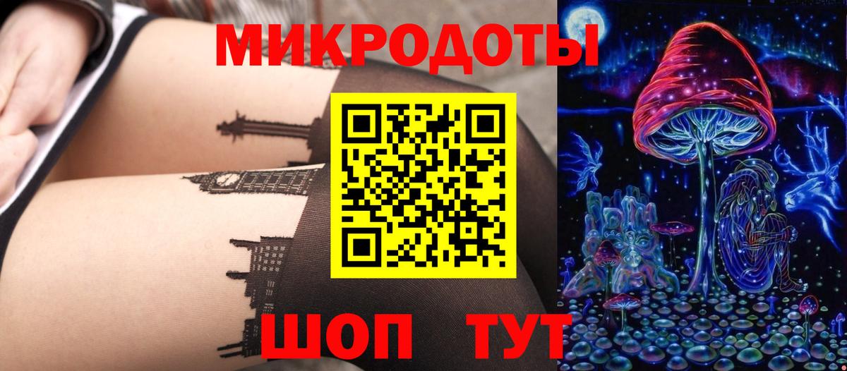 Псилоцибиновые грибы Psilocybe Дербент
