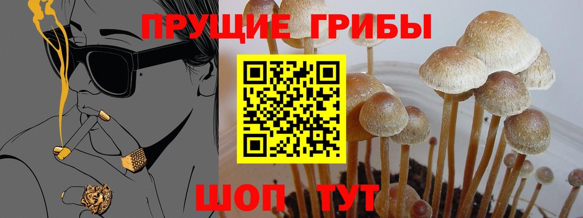Галлюциногенные грибы ЛСД  Псилоцибиновые грибы Magic Shrooms  где найти наркотики  Дербент 
