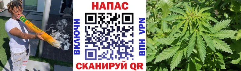 где можно купить   Дербент  Марихуана семена 